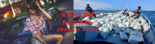 сатива Снежинск