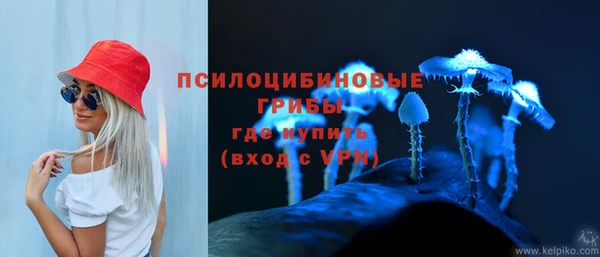 твердый Снежногорск