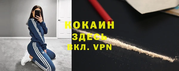 сатива Снежинск