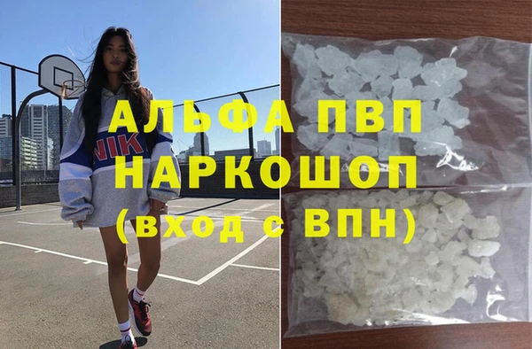 твердый Снежногорск