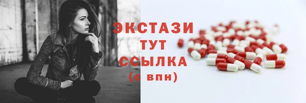 твердый Снежногорск