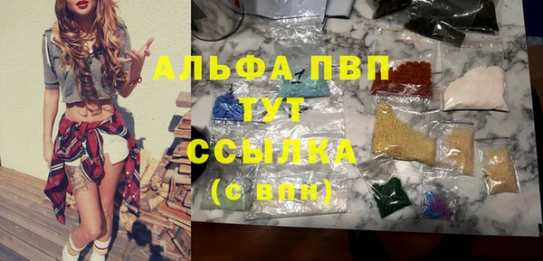 твердый Снежногорск