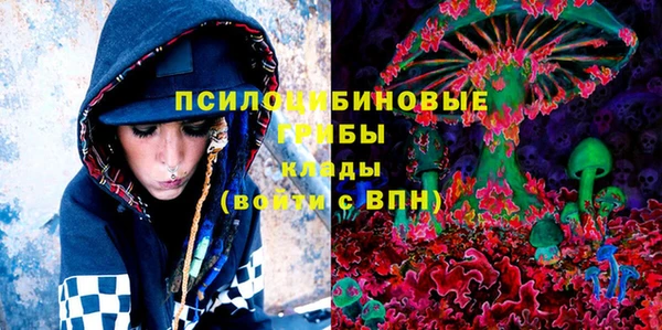 сатива Снежинск