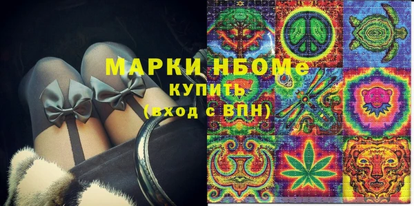 твердый Снежногорск