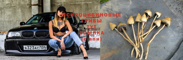 сатива Снежинск