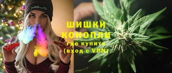 твердый Снежногорск