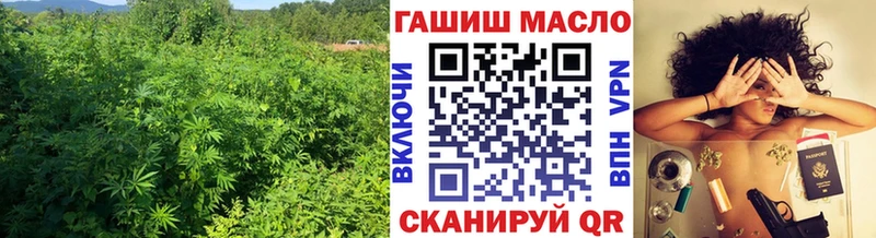 Купить закладки  Шарья  ТГК THC oil 
